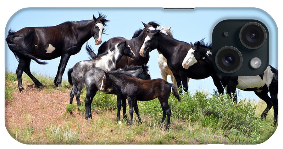 Mustangs Of The Badlands-1524 iPhone Case featuring the photograph Mustangs Of The Badlands-1524 by Gordon Semmens