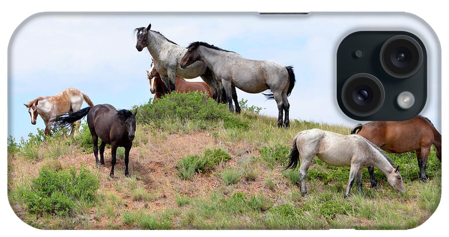 Mustangs Of The Badlands-1543 iPhone Case featuring the photograph Mustangs Of The Badlands-1543 by Gordon Semmens