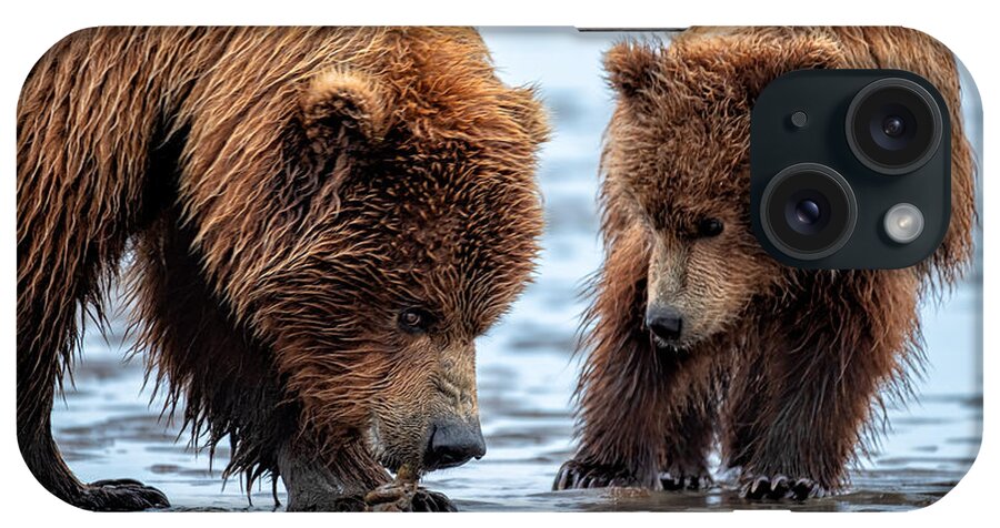 Bears iPhone Case featuring the photograph My Turn to Clam? by Roberta Kayne