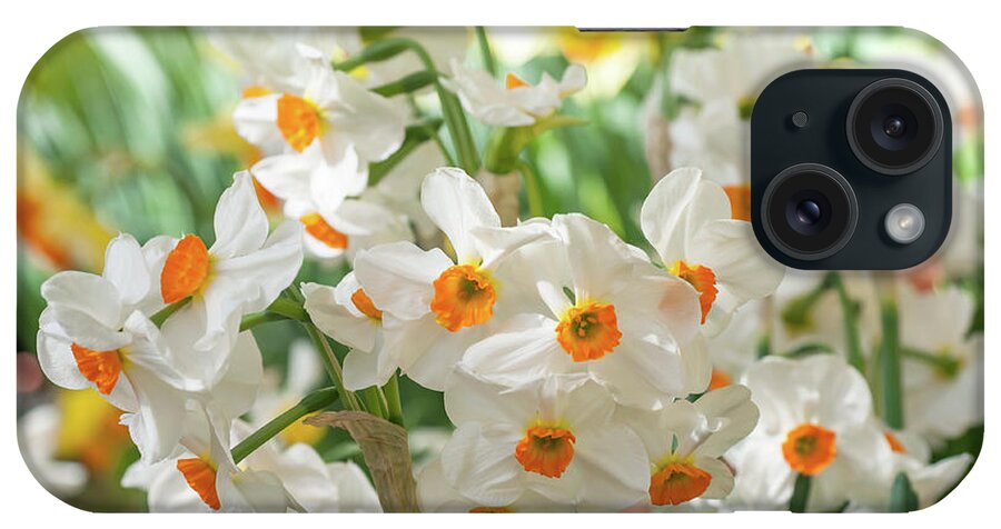 Jenny Rainbow Fine Art Photography iPhone Case featuring the photograph Narcissus Geranium by Jenny Rainbow