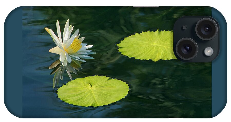 Water iPhone Case featuring the photograph Natural Display - Water Lily and Two Lily Pads by Mitch Spence