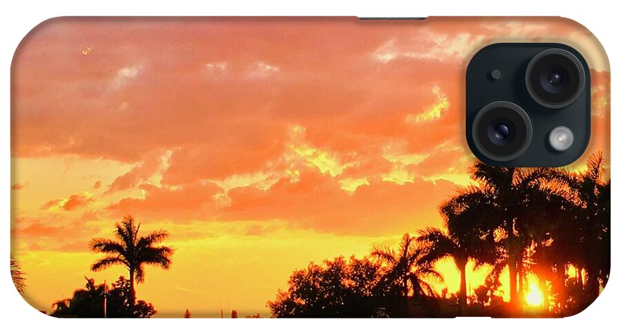 Sunset iPhone Case featuring the photograph Neighborhood Watch #2 by Gary F Richards