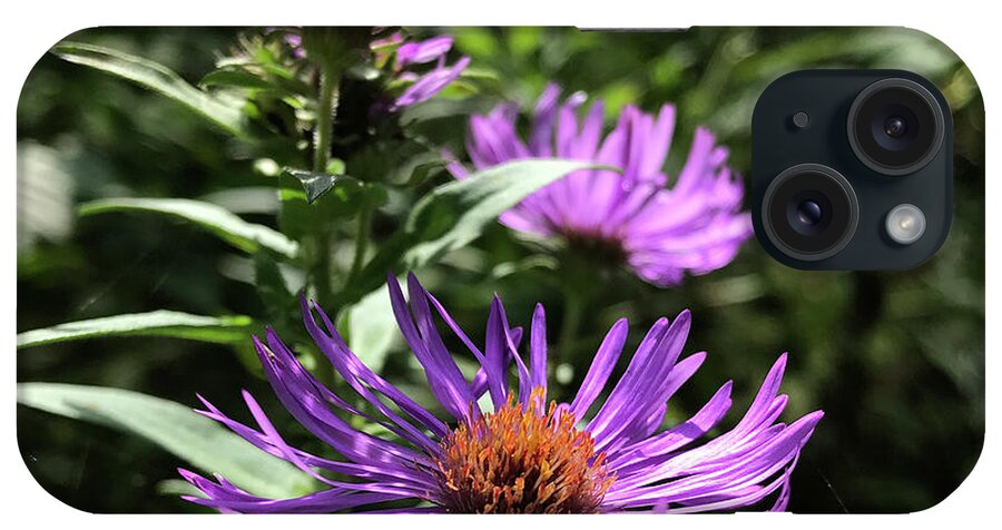 New England Aster iPhone Case featuring the photograph New England Aster 12 by Amy E Fraser