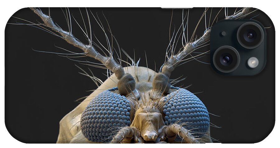 Animal iPhone Case featuring the photograph Nonbiting Midge, Chironomidae Sp., Sem by Meckes/ottawa
