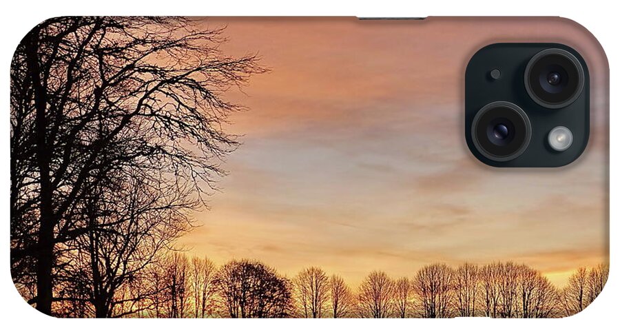 Sunset iPhone Case featuring the photograph November Sunset by Lyuba Filatova