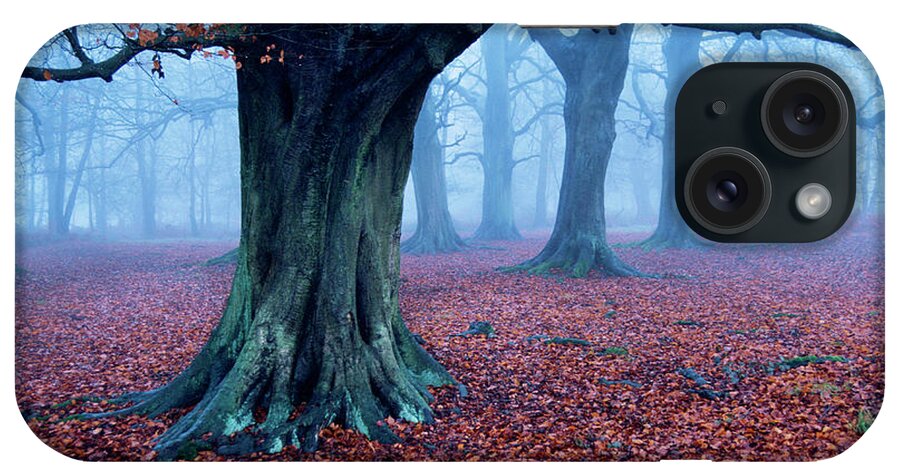 Oak Woodland iPhone Case featuring the photograph Oak Trees Woodland, Hertfordshire by Ben Cranke