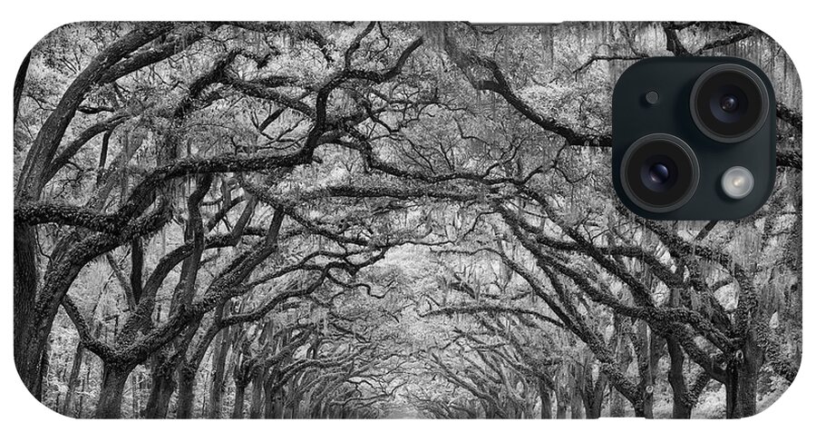 Trees iPhone Case featuring the photograph Oaks Avenue 1 Bw by Moises Levy