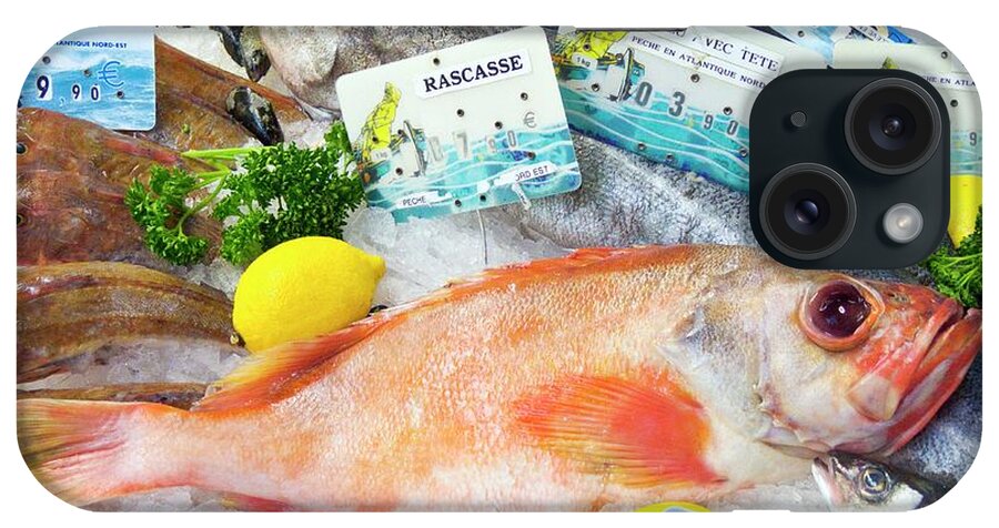 Aquatic iPhone Case featuring the photograph Ocean Perch On A Fish Counter by Martyn F. Chillmaid/science Photo Library