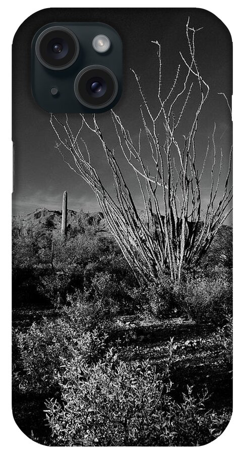 Sonoran Desert iPhone Case featuring the photograph Ocotillo black and white by Chance Kafka