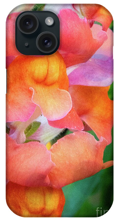 Snapdragon iPhone Case featuring the photograph Oh Snap by Kathy Strauss