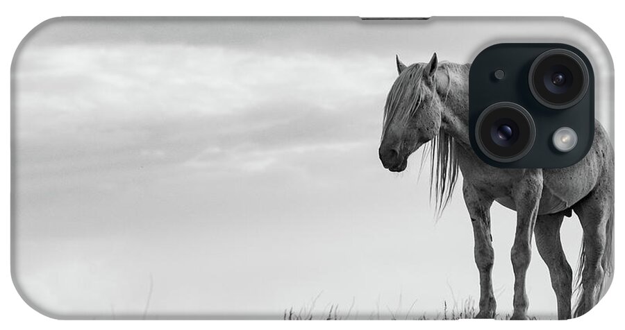 Wild Horse Desert Black And White Equine Old iPhone Case featuring the photograph Old Man by Dirk Johnson