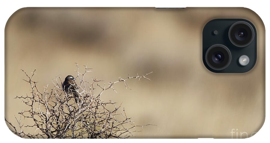 Bird iPhone Case featuring the photograph On The Lookout by Robert WK Clark