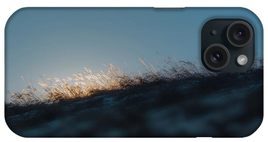 Grass iPhone Case featuring the photograph On the Ridge by Phil And Karen Rispin