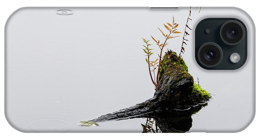 Raindrop iPhone Case featuring the photograph One Drop by Lynn Wohlers