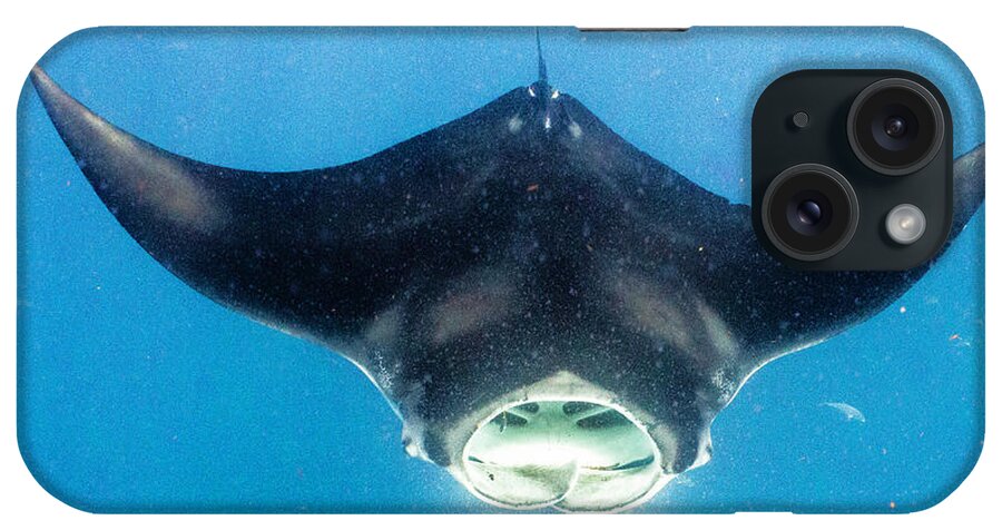 Ocean iPhone Case featuring the photograph Open Wide by Lynne Browne