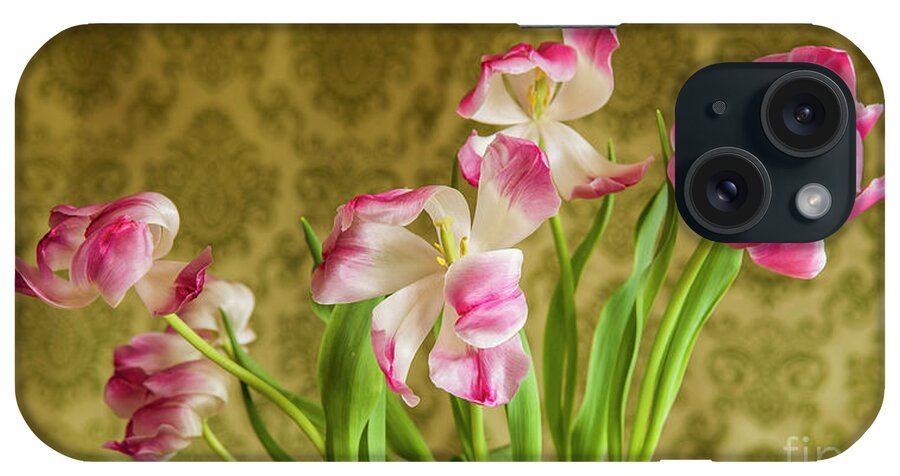 Maine iPhone Case featuring the photograph Opening Tulips by Alana Ranney