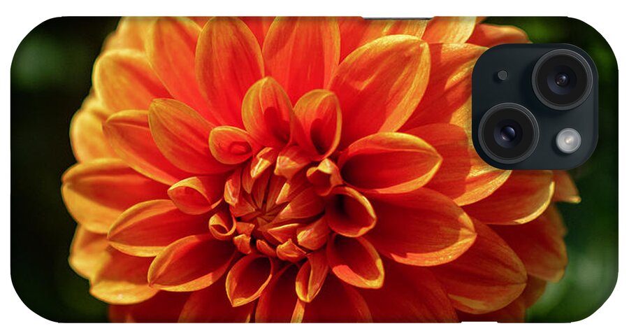 Nature iPhone Case featuring the photograph Orange Beauty by Abigail Diane Photography