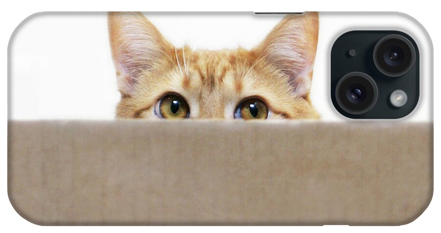 Pets iPhone Case featuring the photograph Orange Cat Peeping Out From Cardboard by Kevin Steele