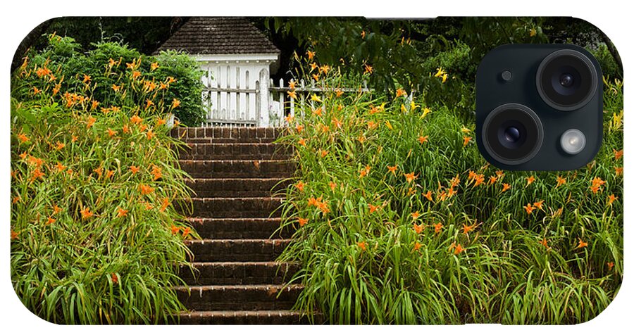 Colonial Williamsburg iPhone Case featuring the photograph Orange Daylilies in June by Rachel Morrison