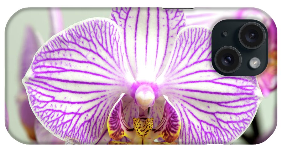 Orchid-2017-32 iPhone Case featuring the photograph Orchid-2017-32 by Gordon Semmens
