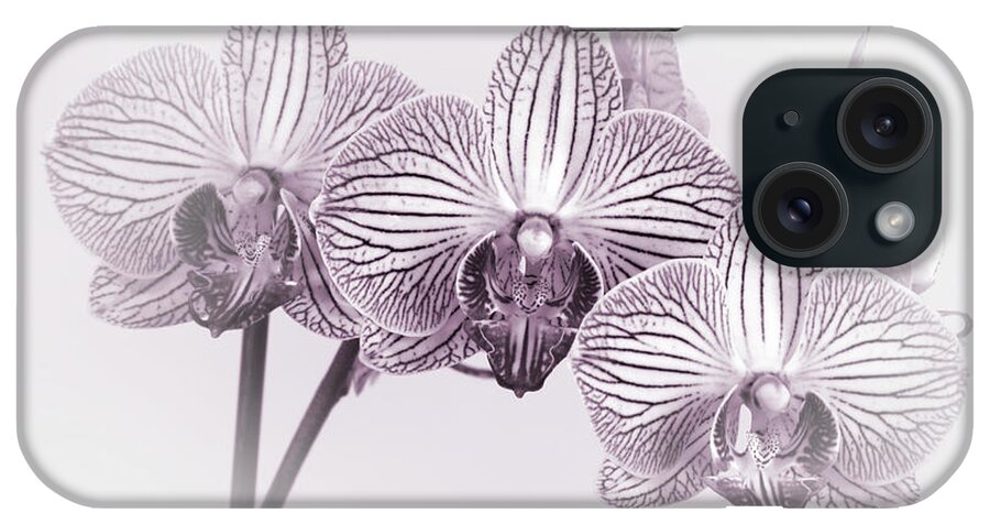 Orchid-2017-34bw iPhone Case featuring the photograph Orchid-2017-34bw by Gordon Semmens