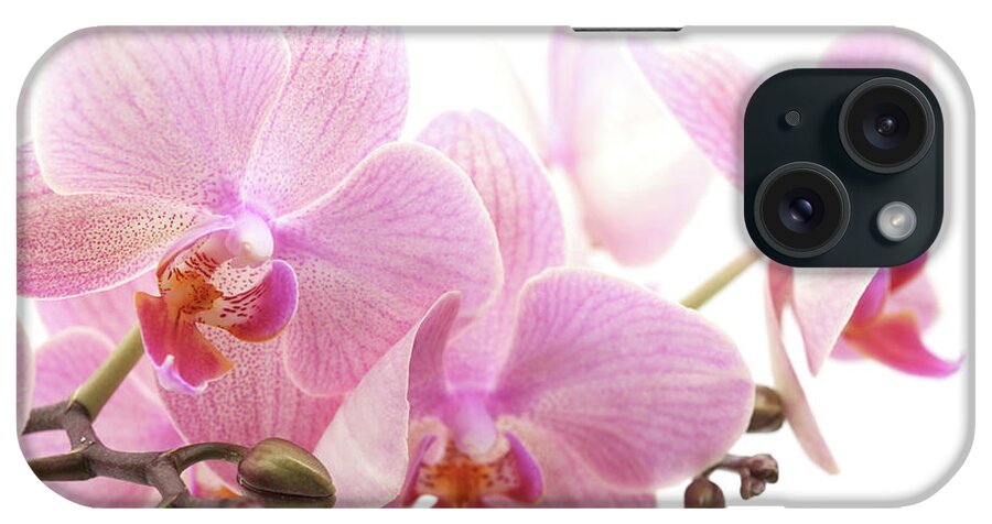 White Background iPhone Case featuring the photograph Orchid by Ziva k