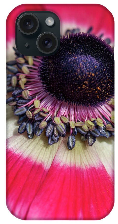 Macro iPhone Case featuring the photograph Asian Poppy Necklace by Ginger Stein