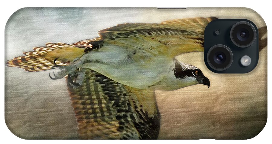 Osprey iPhone Case featuring the photograph Osprey Soaring by Allyson Schwartz