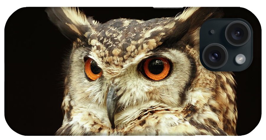 Alertness iPhone Case featuring the photograph Owl Potrait by Katherine Pocklington