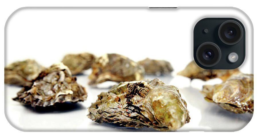 Oyster iPhone Case featuring the photograph Oysters In Their Shells by Garysludden
