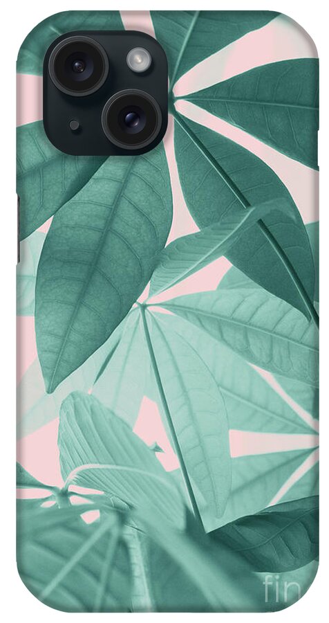 Photography iPhone Case featuring the mixed media Pachira Aquatica #5 #foliage #decor #art by Anita Bella Jantz