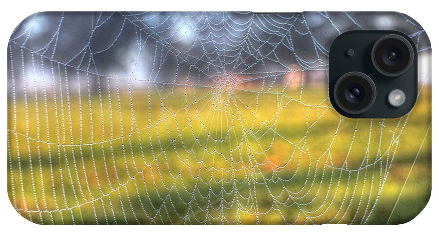Spider Web iPhone Case featuring the photograph Paddock Web by Robert Goldwitz