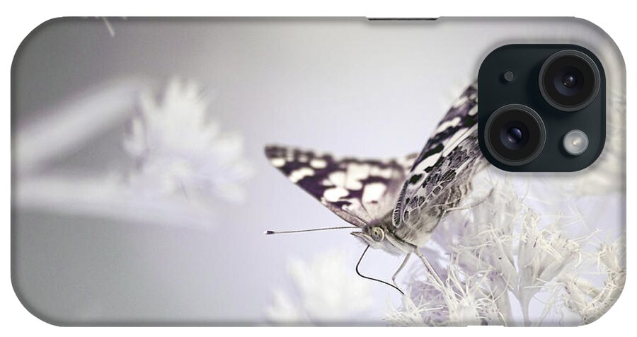 Paintedlady Painted Lady Ir Infrared Insect Ouside Outdoors Nature 720nm Butterfly Butterflies Brian Hale Brianhalephoto Close-up Close Up Closeup iPhone Case featuring the photograph Painted Lady- infrared by Brian Hale