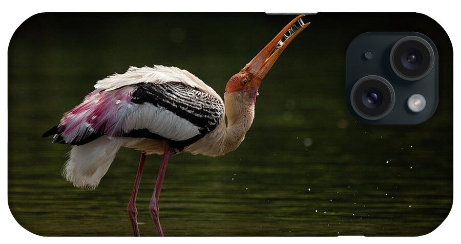 Animal Themes iPhone Case featuring the photograph Painted Stork by (c) Niranj Vaidyanathan V.niranj@gmail.com