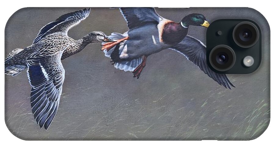 Wildlife Paintings iPhone Case featuring the painting Pair of Mallards Ducks by Alan M Hunt