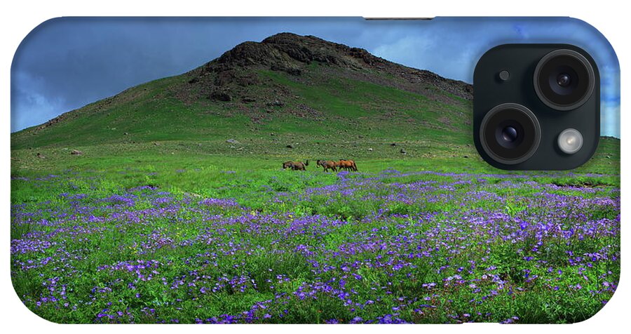 Horse iPhone Case featuring the photograph Pakistan by Nadeem Khawar