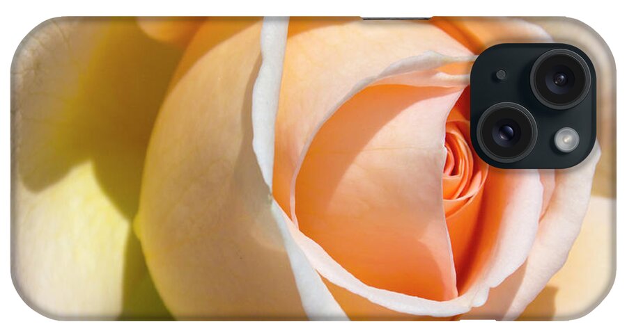 Konya iPhone Case featuring the photograph Pale Rose by Pilar Azaña Talán