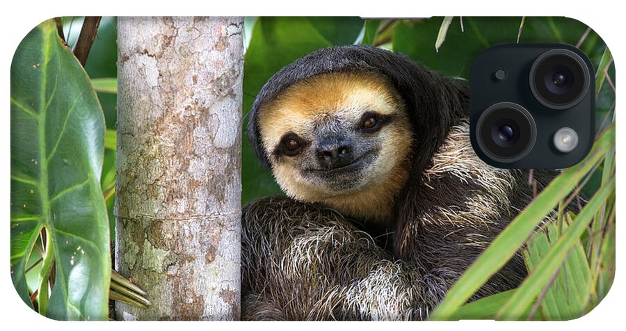 Mp iPhone Case featuring the photograph Pale-throated Three-toed Sloth by Suzi Eszterhas