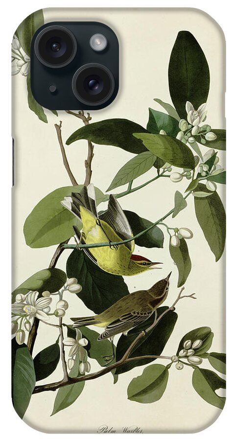 Audubon Birds iPhone Case featuring the Palm Warbler by Vintage Apple Collection