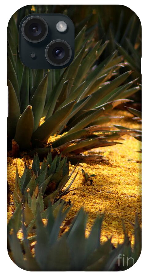 Palo Brea iPhone Case featuring the photograph Palo Brea Blossoms Covering Agave Gardens by Colleen Cornelius