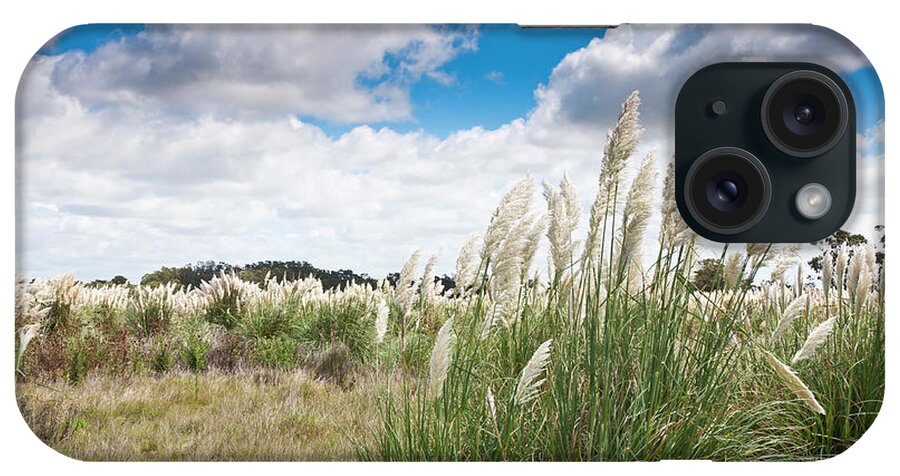 Wind iPhone Case featuring the photograph Pampas Grass by Normazaro