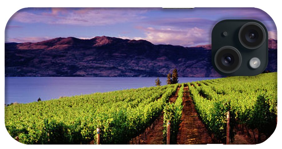 Scenics iPhone Case featuring the photograph Panoramic Vineyards Kelowna by Jason v