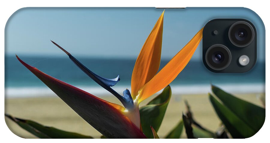 Bird Of Paradise iPhone Case featuring the photograph Paradise at the Beach by Abigail Diane Photography