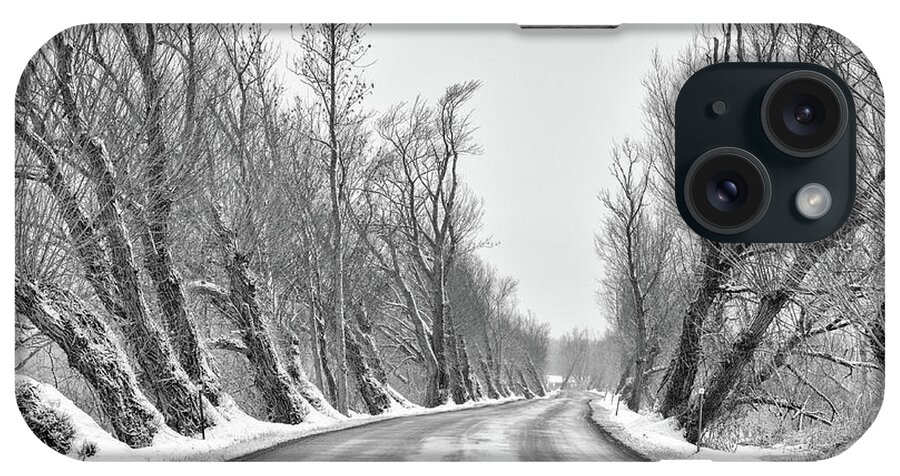 Winter iPhone Case featuring the photograph Parting of the Trees by Rod Best