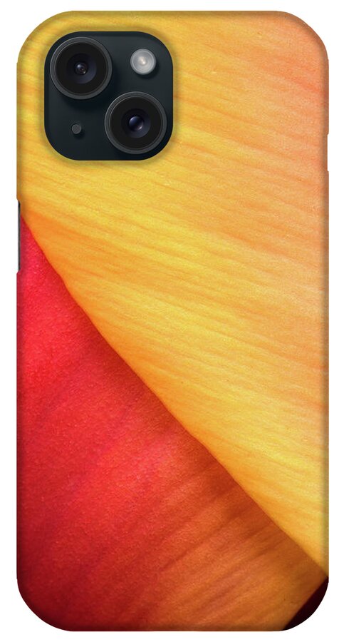 Tulip iPhone Case featuring the photograph Pastel Curve by Michael Hubley