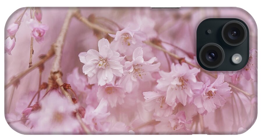 Flower iPhone Case featuring the photograph Pastel Pink by Lois Bryan