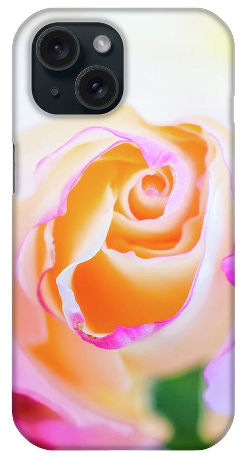 Macro iPhone Case featuring the photograph Pastels by Laura Roberts