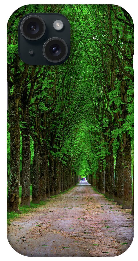 Tranquility iPhone Case featuring the photograph Path Lined With Tall Chestnut Trees by Elfi Kluck
