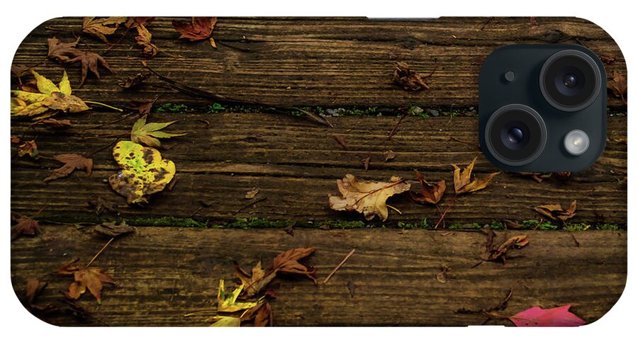 Tree iPhone Case featuring the photograph Path of Autumn by Christopher Maxum