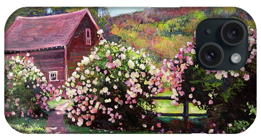 Gardens iPhone Case featuring the painting Path To The Old Red Barn by David Lloyd Glover